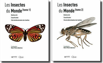 Version PDF - Les Insectes du monde | Histoires Naturelles | Scoop.it