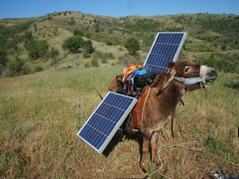 En Mac&eacute;doine, un &acirc;ne itin&eacute;rant offre du courant &eacute;lectrique - Rue89 | Environnement - &Eacute;nergie | Scoop.it