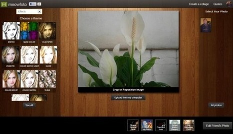 Meowfoto, 'webapp' para aplicar filtros y efectos a tus fotografías y crear 'collages' | Las TIC en la Educación | Scoop.it