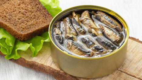 Canned seafood exports in ITALY and SPAIN 2025 | CIHEAM Press Review | Scoop.it