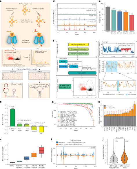 Direct RNA sequencing and signal alignment reve...