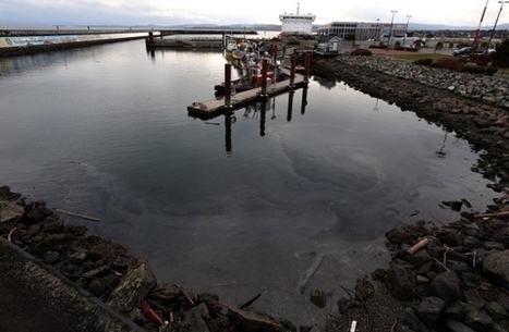 Ogden Point spill cleanup tally estimated at  $10,000 / 04.02.2016 | Pollution accidentelle des eaux (+ d&eacute;chets plastiques) | Scoop.it