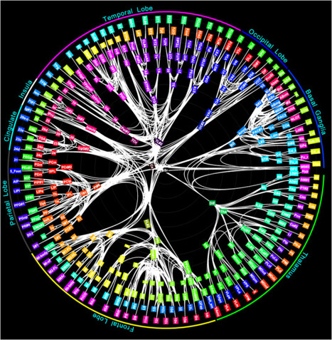 We&rsquo;re Nowhere Near Artificial Brains | The Crux | Discover Magazine | Science News | Scoop.it