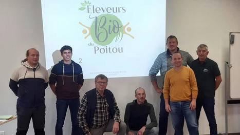 Châtillon-sur-Thouet : une nouvelle coopérative dédiée aux éleveurs en agriculture biologique | Actualité Bétail | Scoop.it