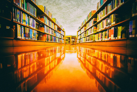 The Importance of Forgetting | Learning Futures | Scoop.it