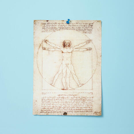 What the Golden Ratio Says About Your Bellybutton | Anthropometry and Kinanthropometry | Scoop.it