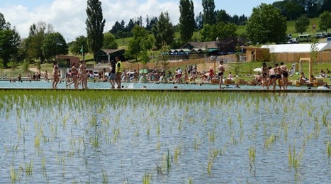 La Belgique ouvre les portes de sa première piscine municipale bio | Ces infos qui nous font du bien | Scoop.it