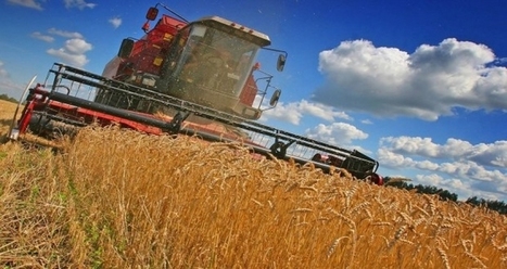 Céréales: Une production de 40 millions de quintaux réalisée en 2015 (Oaic) | MED-Amin network | Scoop.it