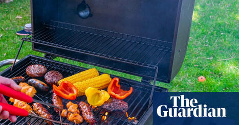 UK food inflation: why your barbecue meat is becoming more expensive | Food & drink industry | The Guardian | Microeconomics: IB Economics | Scoop.it