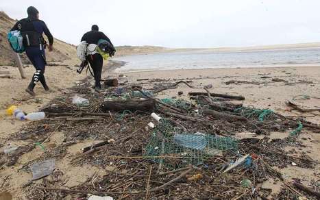 Landes : mobilisés pour que le courant d’Huchet se refasse une beauté | Landes | Scoop.it