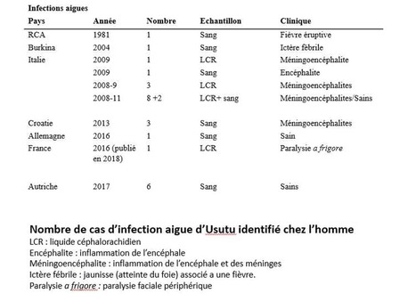 En France, les moustiques transmettent aussi le virus Usutu (4/4) | EntomoNews | Scoop.it