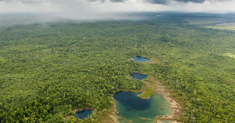 Belize Maya Forest Preserved | Cayo Scoop!  The Ecology of Cayo Culture | Scoop.it