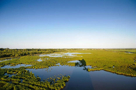 Cartographie nationale des milieux humides phase R&D 2021-2022 | Biodiversité | Scoop.it