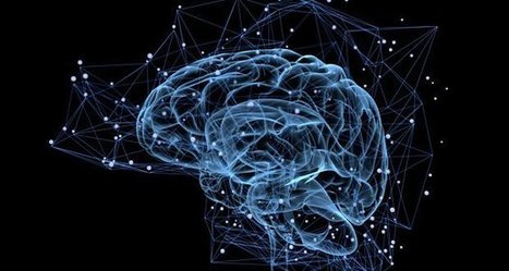 Neuroscientists tiff over effects of screen time on young brains | Linguistics & Language Neurology | Scoop.it