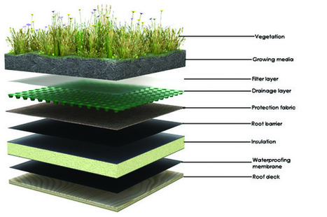 Le toit vert gagne du terrain | Build Green, pour un habitat écologique | Scoop.it