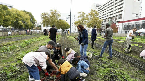 Les 48 heures de l’agriculture urbaine - La Dépêche | Pour innover en agriculture | Scoop.it