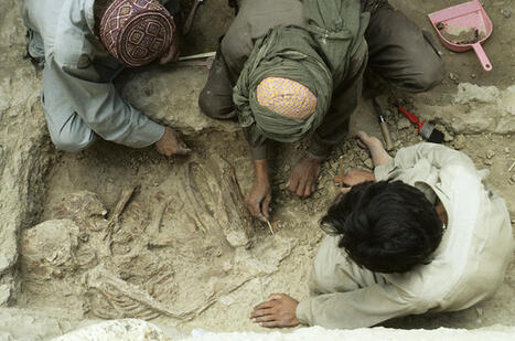 Découverte archéologique dans la Vallée de l'Indus | - Lettre d'information Orient & Méditerranée - | Scoop.it