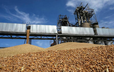 FOOD Prices, Elections, and the Wagner Group in AFRICA | MED-Amin network | Scoop.it