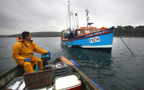 Fishing campaigners claim victory as discards to be banned from 2015 - Telegraph | Soggy Science | Scoop.it