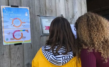 [INP-Purpan] Pr&egrave;s de Toulouse, un escape game &agrave; la ferme pour casser les clich&eacute;s | InM&eacute;dias | Scoop.it