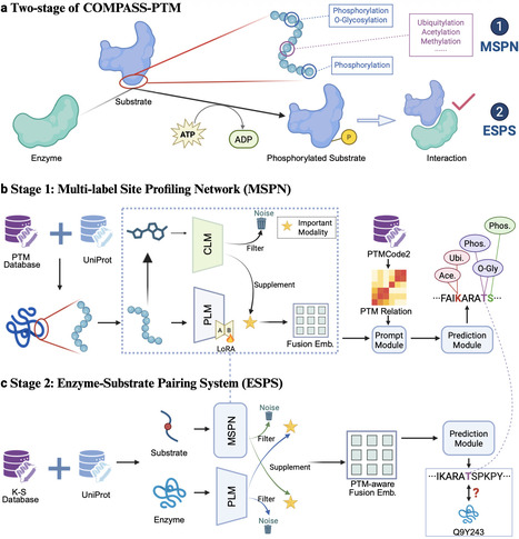 Learning the PTM code through a coarse-to-fine mechanism-aware framework | Ncm | RMH | Scoop.it