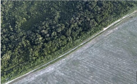 Déforestation : l'Union européenne établit une liste de pays à risque, objet de controverse | ITERG Environnement et Eco-industries | Scoop.it