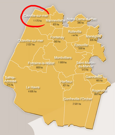 Gurvan Lucas, mara&icirc;cher en couveuse, tente sa chance dans l&rsquo;agglo du Havre | Veille territoriale AURH | Scoop.it