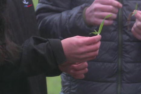 Votre urine comme engrais : une solution pas chère, respectueuse des sols, en cours d'expérimentation pour l'agriculture | Elevage et environnement | Scoop.it