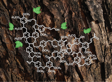 Linked in with lignin | Nchem | RMH | Scoop.it