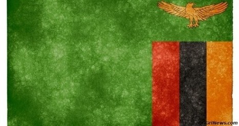 ✪ Envoi de cinq cent militaires zambien pour le maintien de la paix en Centrafrique... | Actualités Afrique | Scoop.it