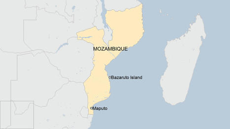 Dozens of dolphins found dead on Mozambique beach | Coastal Restoration | Scoop.it