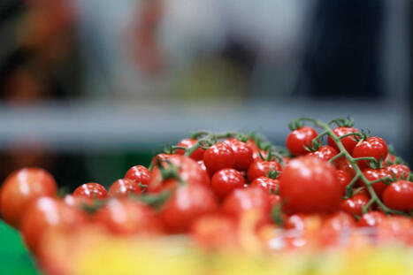 Branchenverband kritisiert UBA-Studie zum Einzelhandel | Sustainable Procurement News - Deutschland, &Ouml;sterreich, Schweiz | Scoop.it