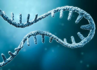 Discovery Shows Human Cells can Write RNA Sequences Back into DNA | Amazing Science | Scoop.it