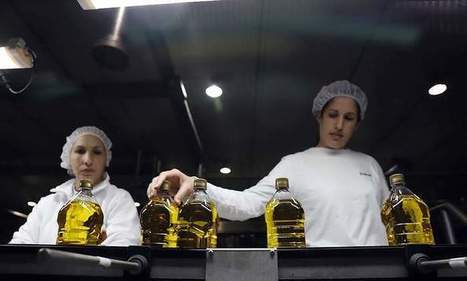 La crisis del aceite de oliva arruina al sector en Andalucía | OLIVE NEWS | Scoop.it
