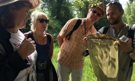 Mickaël Nicolas : «On oublie que la biodiversité est spéciale près de chez nous» - 10/08/2018 | Lacroix-Falgarde | Scoop.it