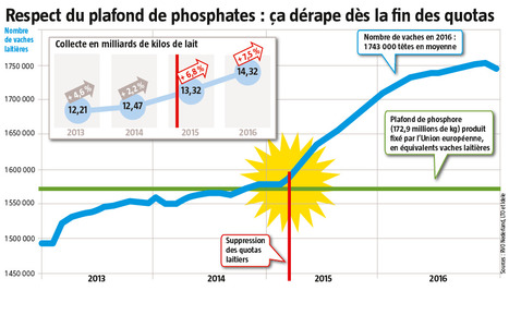 Phosphore : Le grain de sable qui enraye la mécanique des Pays-Bas | Lait de Normandie... et d'ailleurs | Scoop.it