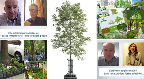 2 vid&eacute;os sur les villes d&eacute;simperm&eacute;abilis&eacute;es et basse temp&eacute;rature, ainsi que sur l&rsquo;arbre en agglom&eacute;ration [VIDEOS] &ndash; | Veille UrbaLyon : Planification urbaine -  Plan local d'urbanisme | Scoop.it
