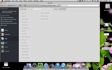 The Ultimate Evernote Guide, Part 2: Notebooks and Tags | Evernote, gestion de l'information numérique | Scoop.it