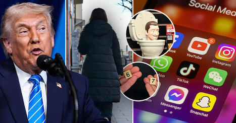 Six seven, Skibidi och Trumpviskare &ndash; h&auml;r &auml;r &aring;rets nyordslista | 1Uutiset - Lukemisen t&auml;hden | Scoop.it