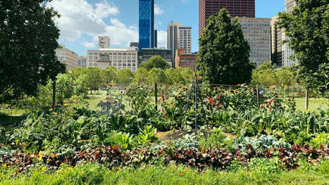 Climate Justice Is Possible&mdash;Just Look Beyond Technology | IT helps the environment and science | Scoop.it