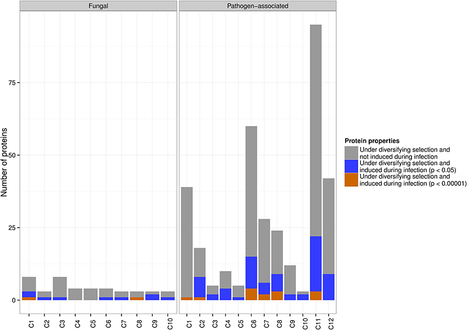 Frontiers: Diversifying selection in the wheat stem rust fungus acts predominantly on pathogen-associated gene families and reveals candidate effectors (2014) | Plant Pathogenomics | Scoop.it