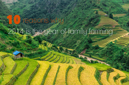 10 reasons why 2014 is the year for family farming | Questions de développement ... | Scoop.it