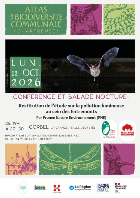 Pollution lumineuse et biodiversit&eacute; nocturne : les r&eacute;sultats des &eacute;tudes &laquo; trame noire &raquo; | Les Colocs du jardin | Scoop.it