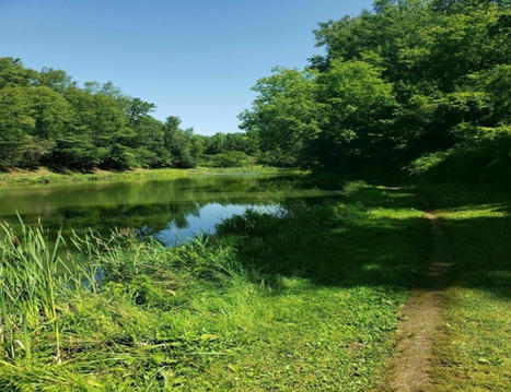 Volunteers find PFAS in 2nd location near National Guard base - VTDigger.org | Operation Deimos | Scoop.it