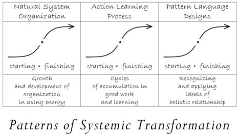 RNS Journal … | New 'object oriented science' for living and working with natural whole systems | Peer2Politics | Scoop.it