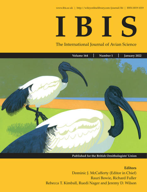 Responses of dispersing GPS‐tagged Golden Eagles (Aquila chrysaetos) to multiple wind farms across Scotland - Fielding - 2022 - Ibis | Environnement : Politiques Publiques et Stratégie | Scoop.it