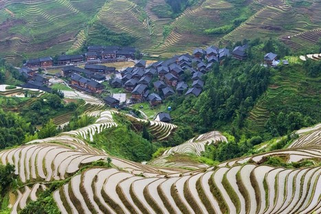 The Beauty of Terraced Fields | About Geography | Scoop.it