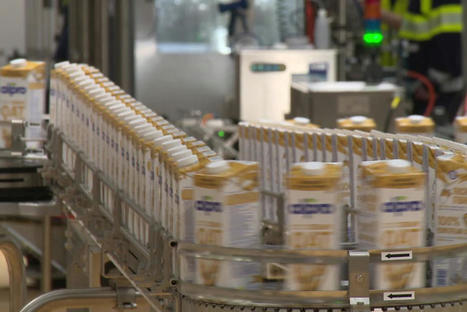 Danone abandonne le lait de vache pour le lait végétal, près de 200 producteurs du Gers se retrouvent sur le carreau | Economie de l'Elevage | Scoop.it