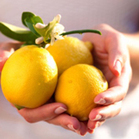 Lekker Limoncello! - Libelle | La Cucina Italiana - De Italiaanse Keuken - The Italian Kitchen | Scoop.it