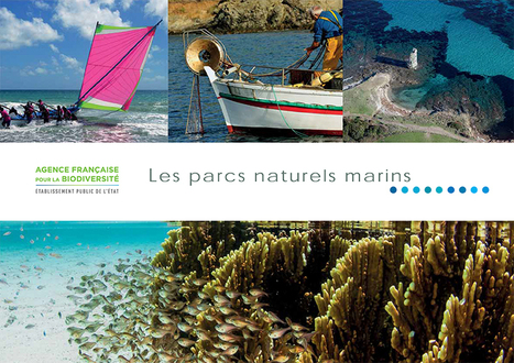 Sortie du guide des parcs naturels marins 2019 | Biodiversité | Scoop.it